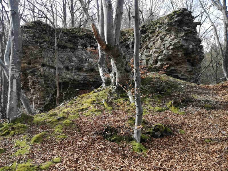 Toričan fortress